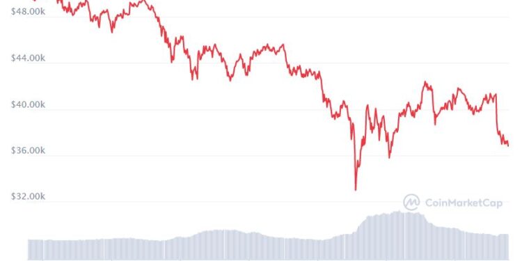 bitcoin's crash